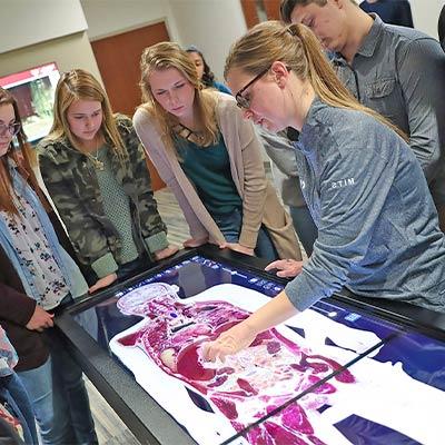 学生们聚集在一块展示解剖学的视频板周围