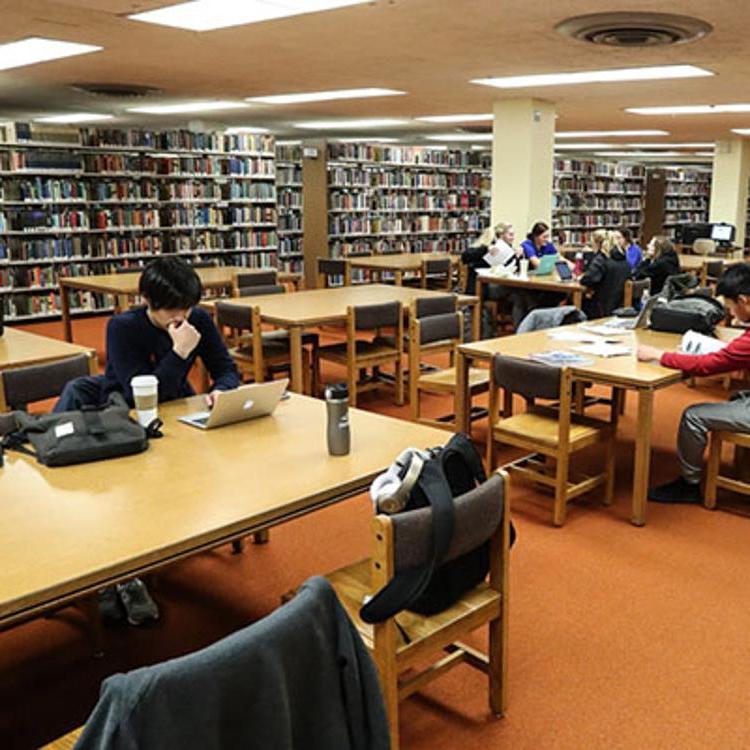 Students learning in Calvin T. Ryan Library